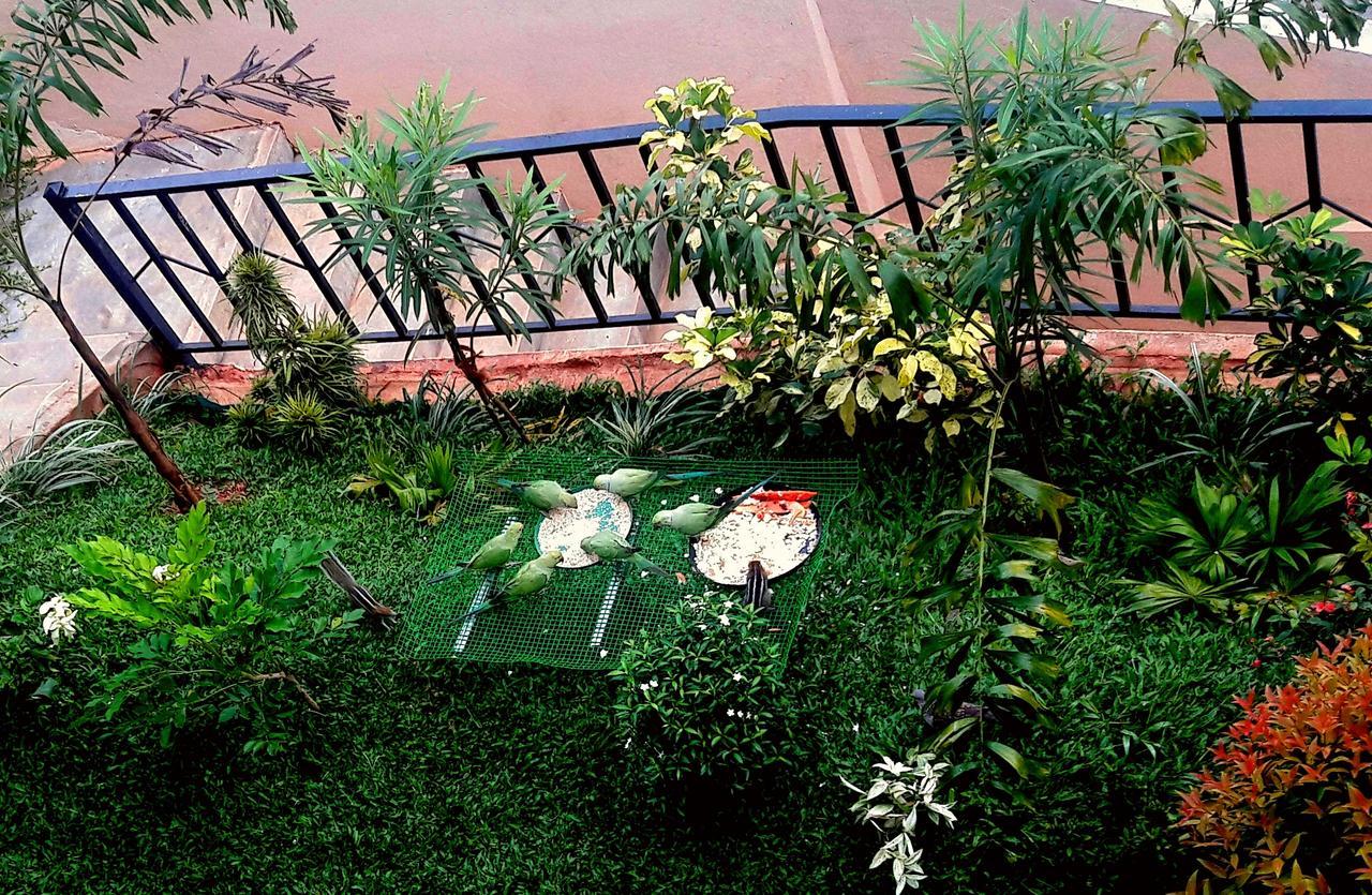 Saru Holiday Apartment - Up To 6 Guests Kandy Extérieur photo